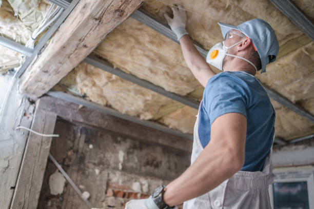 Best Wall Insulation Contractor  in Glenwood, MN