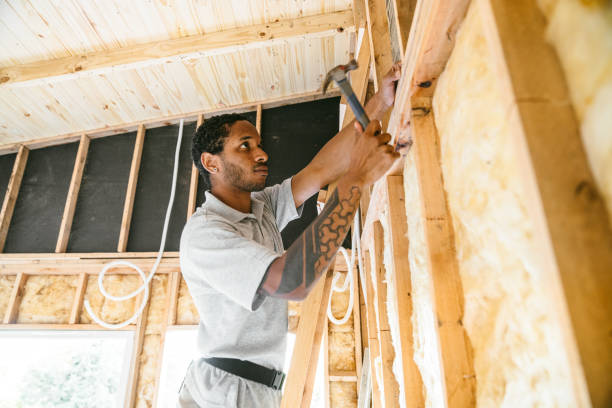 Best Insulation Removal  in Glenwood, MN